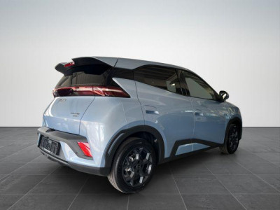 BYD Dolphin Gebrauchtwagen
