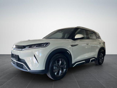 BYD Atto 2 Gebrauchtwagen