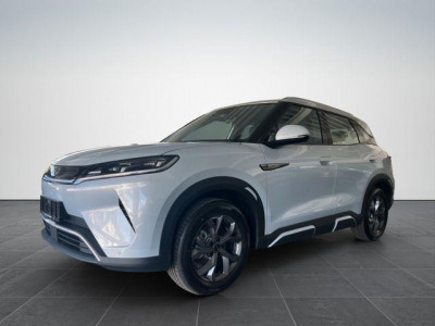 BYD Atto 2 Gebrauchtwagen