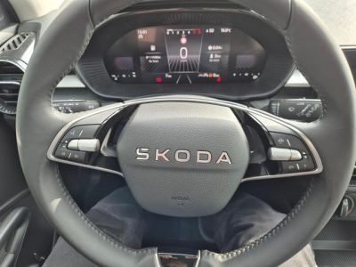 Skoda Fabia Tageszulassung Skoda Fabia Tageszulassung