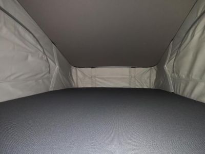 VW California Tageszulassung