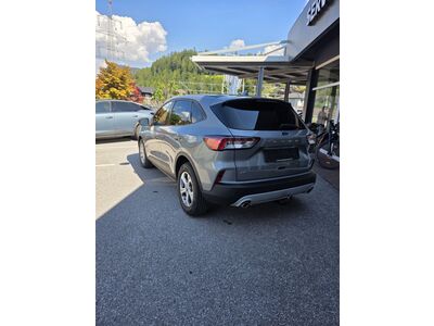 Ford Kuga Gebrauchtwagen Ford Kuga Gebrauchtwagen