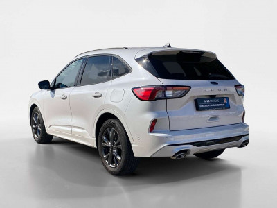 Ford Kuga Gebrauchtwagen Ford Kuga Gebrauchtwagen