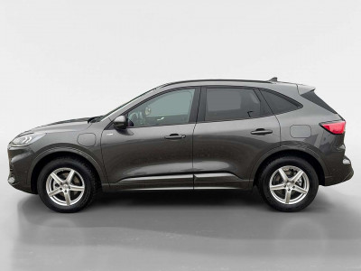 Ford Kuga Gebrauchtwagen Ford Kuga Gebrauchtwagen