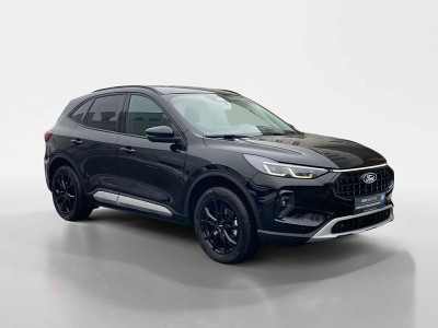 Ford Kuga Gebrauchtwagen