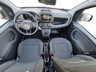 Fiat Panda Gebrauchtwagen