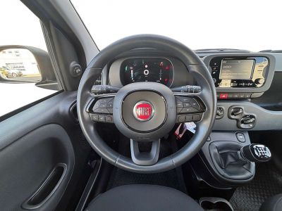 Fiat Panda Gebrauchtwagen