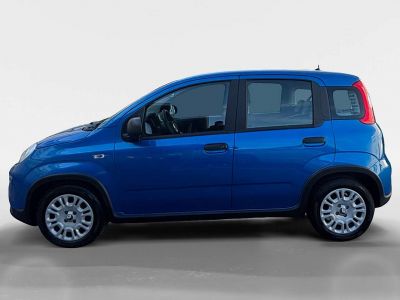 Fiat Panda Gebrauchtwagen