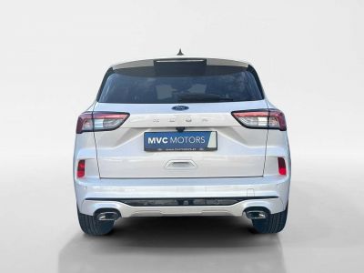 Ford Kuga Gebrauchtwagen