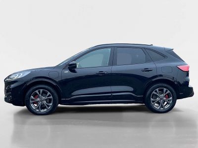 Ford Kuga Gebrauchtwagen Ford Kuga Gebrauchtwagen