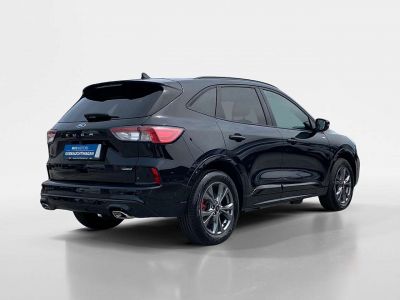 Ford Kuga Gebrauchtwagen Ford Kuga Gebrauchtwagen