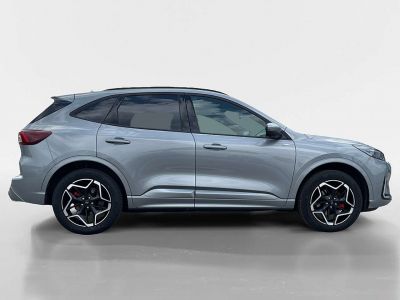 Ford Kuga Gebrauchtwagen Ford Kuga Gebrauchtwagen