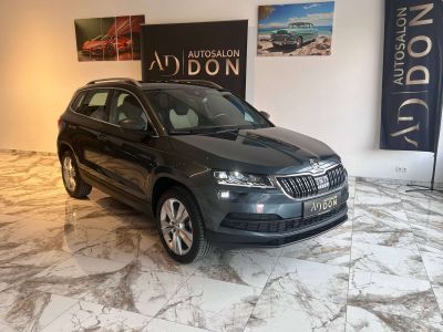 Skoda Karoq Gebrauchtwagen