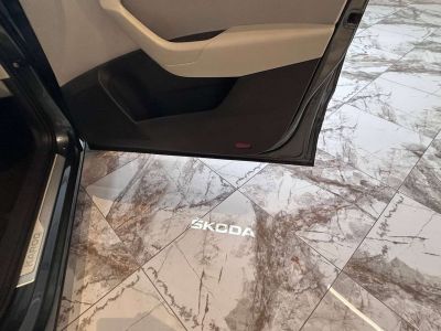 Skoda Karoq Gebrauchtwagen Skoda Karoq Gebrauchtwagen