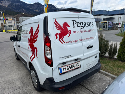 Ford Transit Connect Gebrauchtwagen