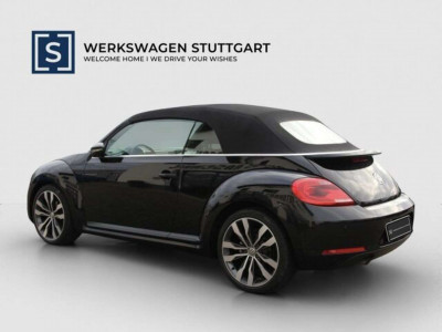 VW Beetle Gebrauchtwagen
