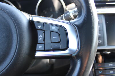 Jaguar F-Pace Gebrauchtwagen