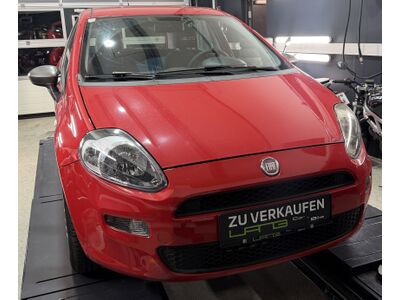 Fiat Punto Gebrauchtwagen