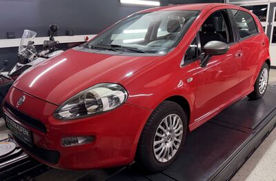 Fiat Punto Gebrauchtwagen