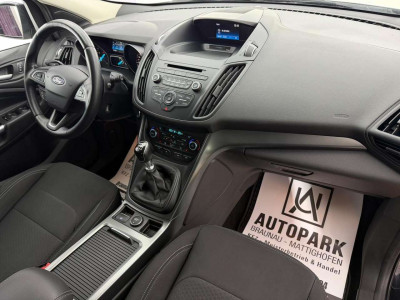 Ford Kuga Gebrauchtwagen
