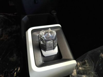 Dacia Spring Tageszulassung