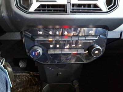 Dacia Spring Tageszulassung
