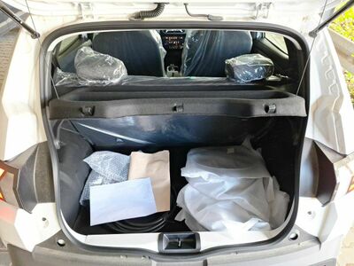 Dacia Spring Tageszulassung