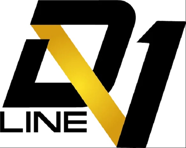 D1-Line GmbH, Wels, Oberösterreich