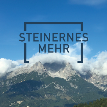 Autohändler Adrian Moldovan, Saalfelden am Steinernen Meer